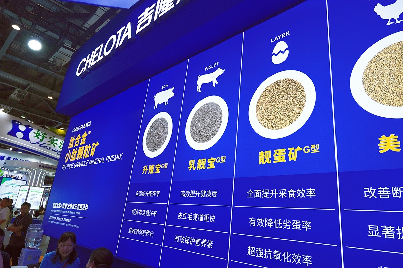 DSCF1911_����