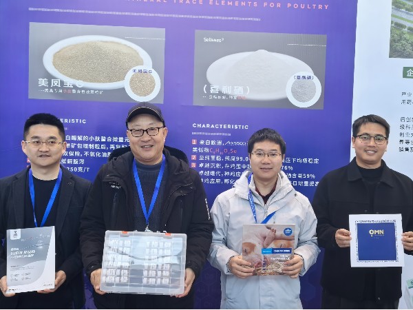 CHELOTAbbinӯ⼦ҵ̳