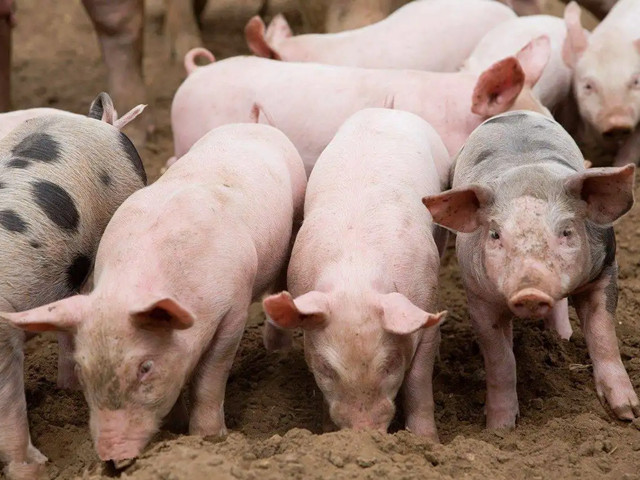 ＾ҪעʲôƺҪһҪĵ