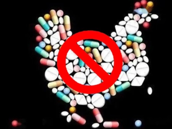 ϲǲΰ룻Żƽ