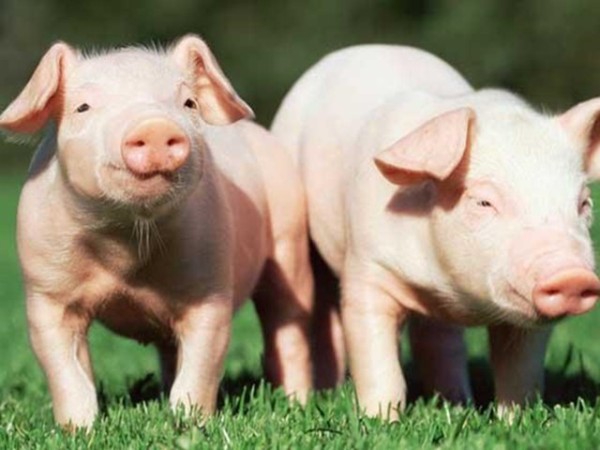 ʰʹʲôôбҪȫ