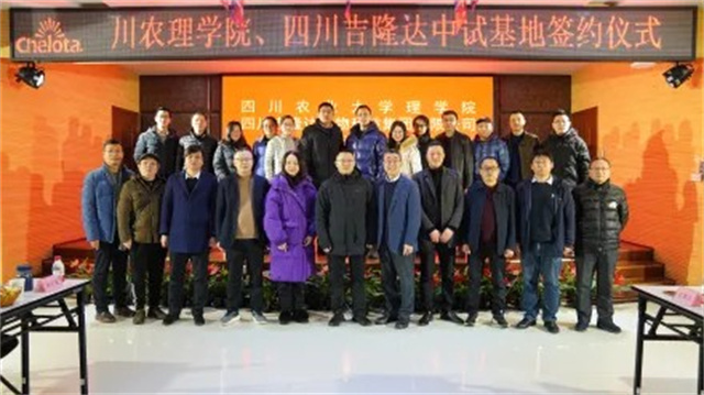 ÖÐÊÔ»ùµØÇ©Ô¼ÒÇʽ ÖÐÊÔ»ùµØÇ©Ô¼ÒÇʽ