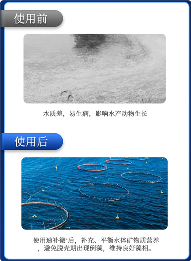 bbinӯл΢Ԫٲ΢+ϺЧ