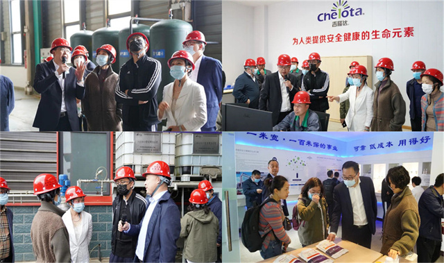 ͨɷݴιbbinӯл΢Ԫع