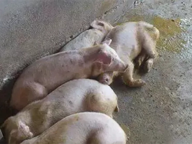 2022궬к֢״ղأ