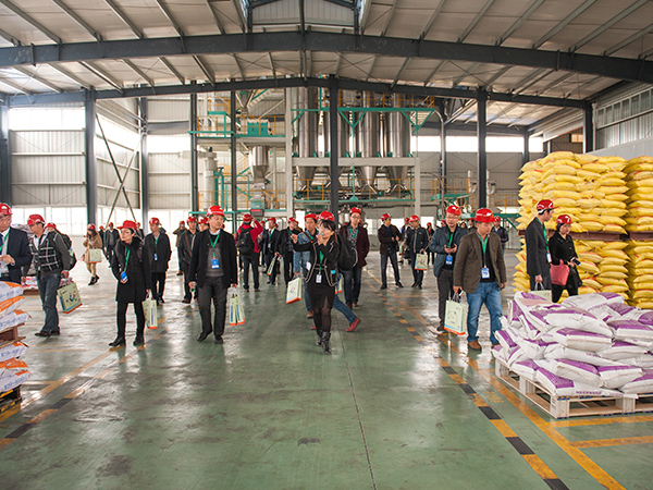 ΢ԪӼϰ˵ǸòƷ