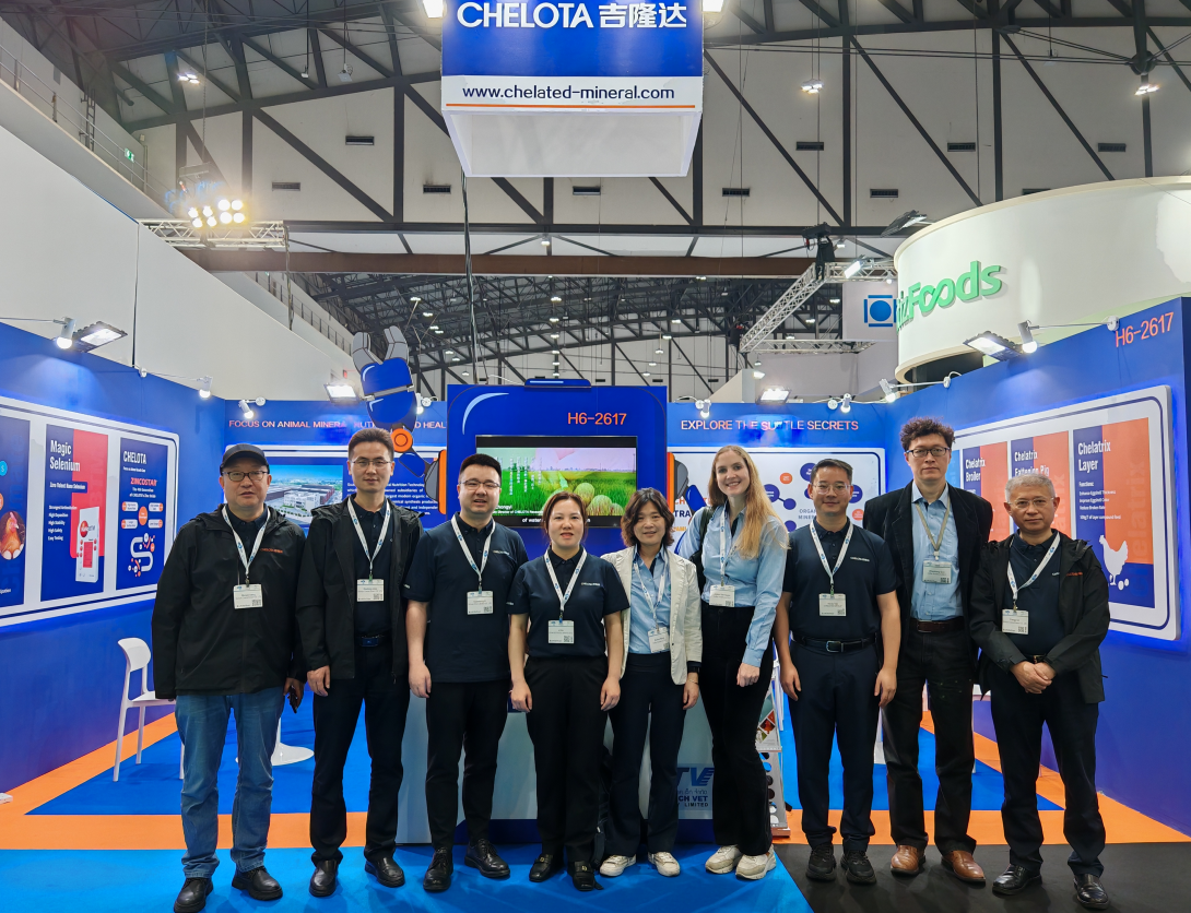 ̩ˣCHELOTAbbinӯVIVޣ̩ʼԼչ